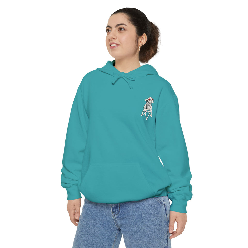 Read More — Comfort Colors Pullover