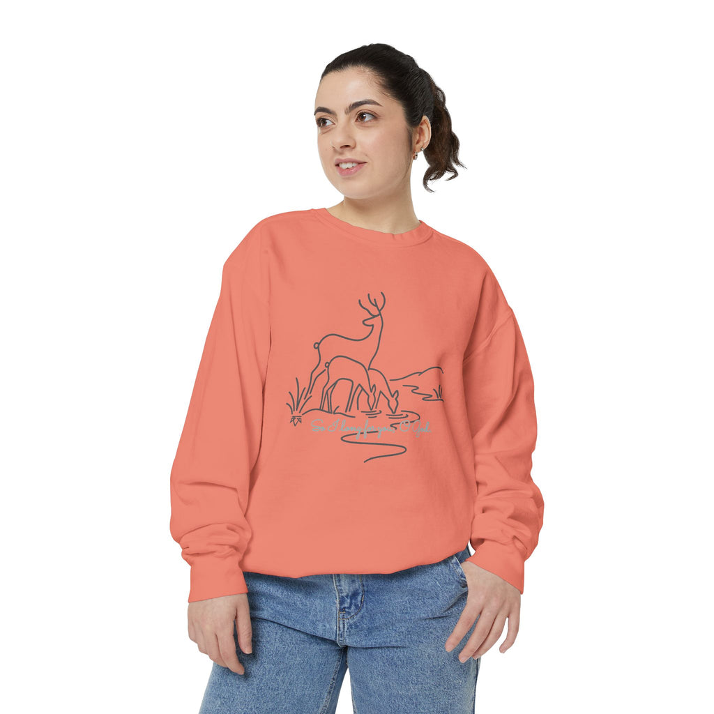 My Soul Pants - Comfort Colors Sweatshirt